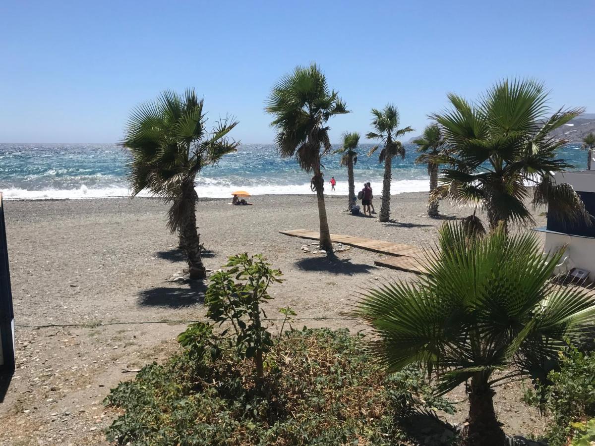Casa Amigos Sorvilan- La Palmera المظهر الخارجي الصورة