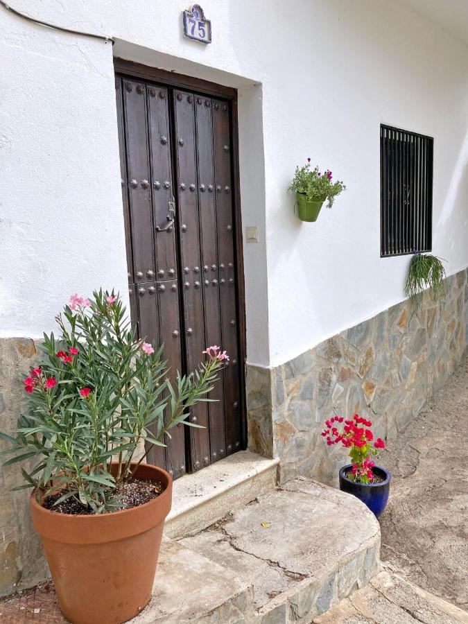 Casa Amigos Sorvilan- La Palmera المظهر الخارجي الصورة