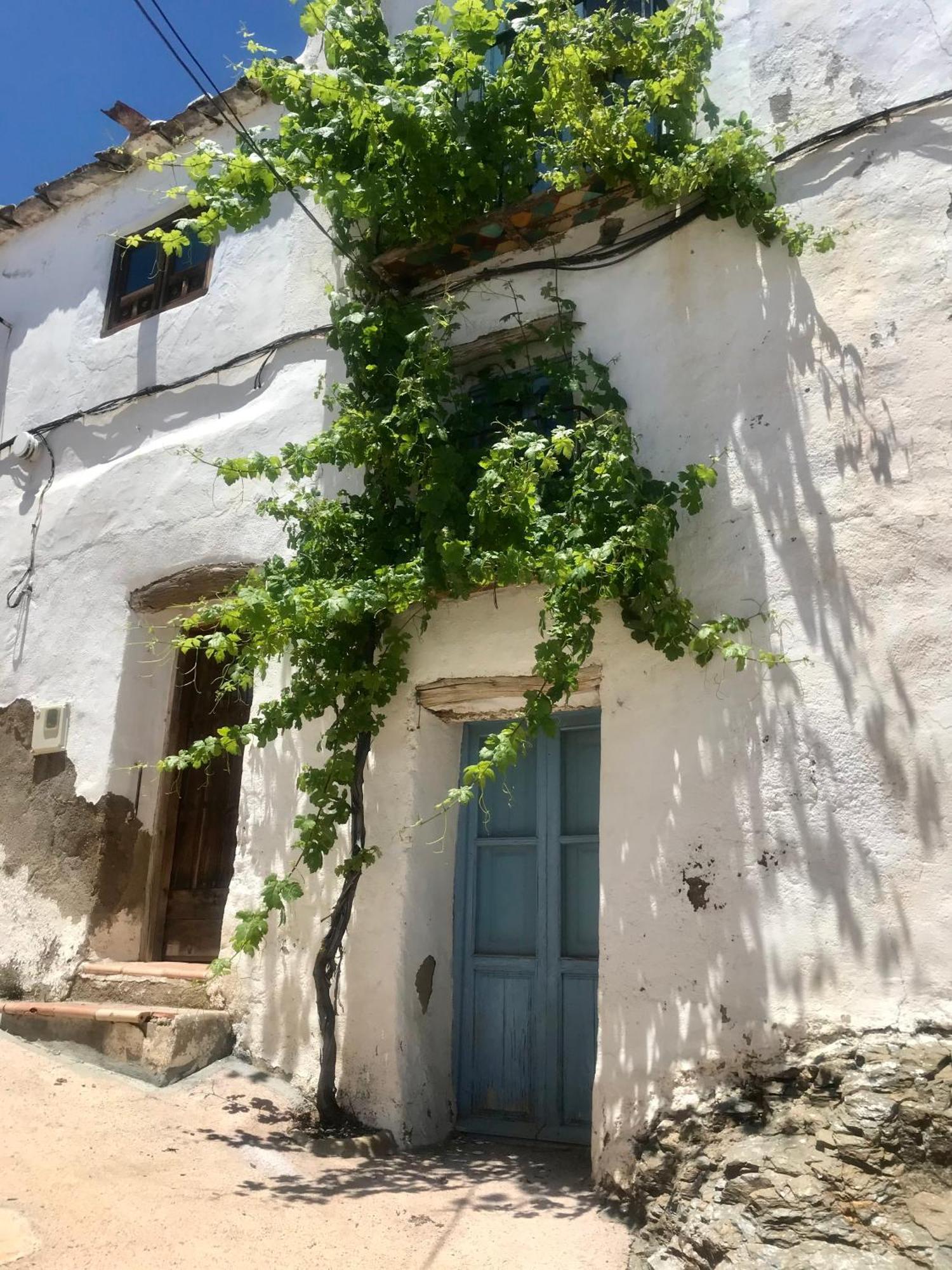 Casa Amigos Sorvilan- La Palmera المظهر الخارجي الصورة