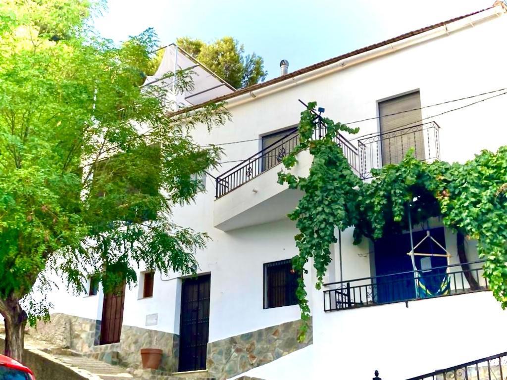 Casa Amigos Sorvilan- La Palmera المظهر الخارجي الصورة